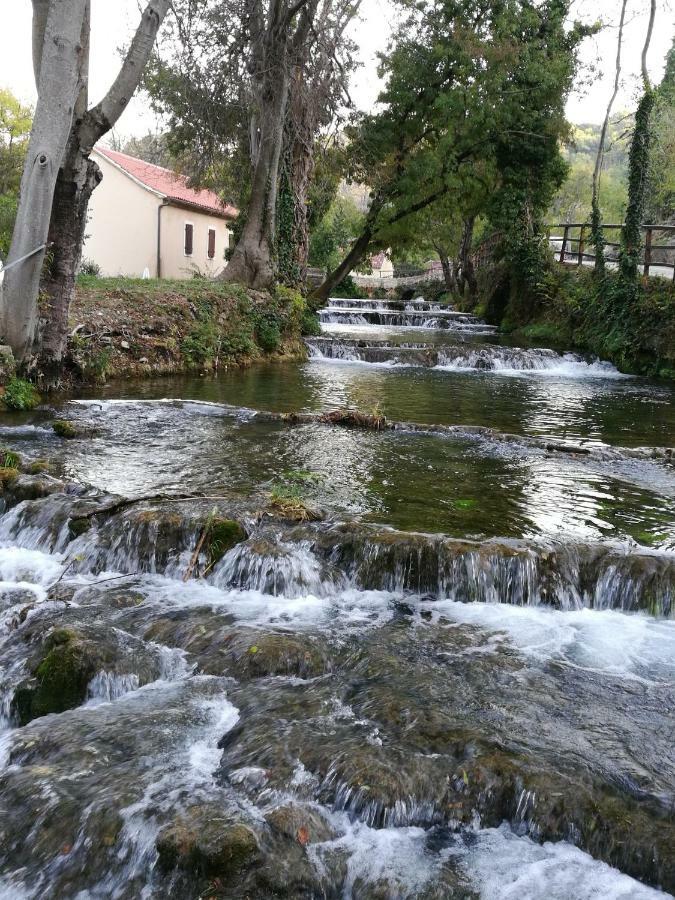 Guesthouse Villa Domenico Lozovac Eksteriør bilde